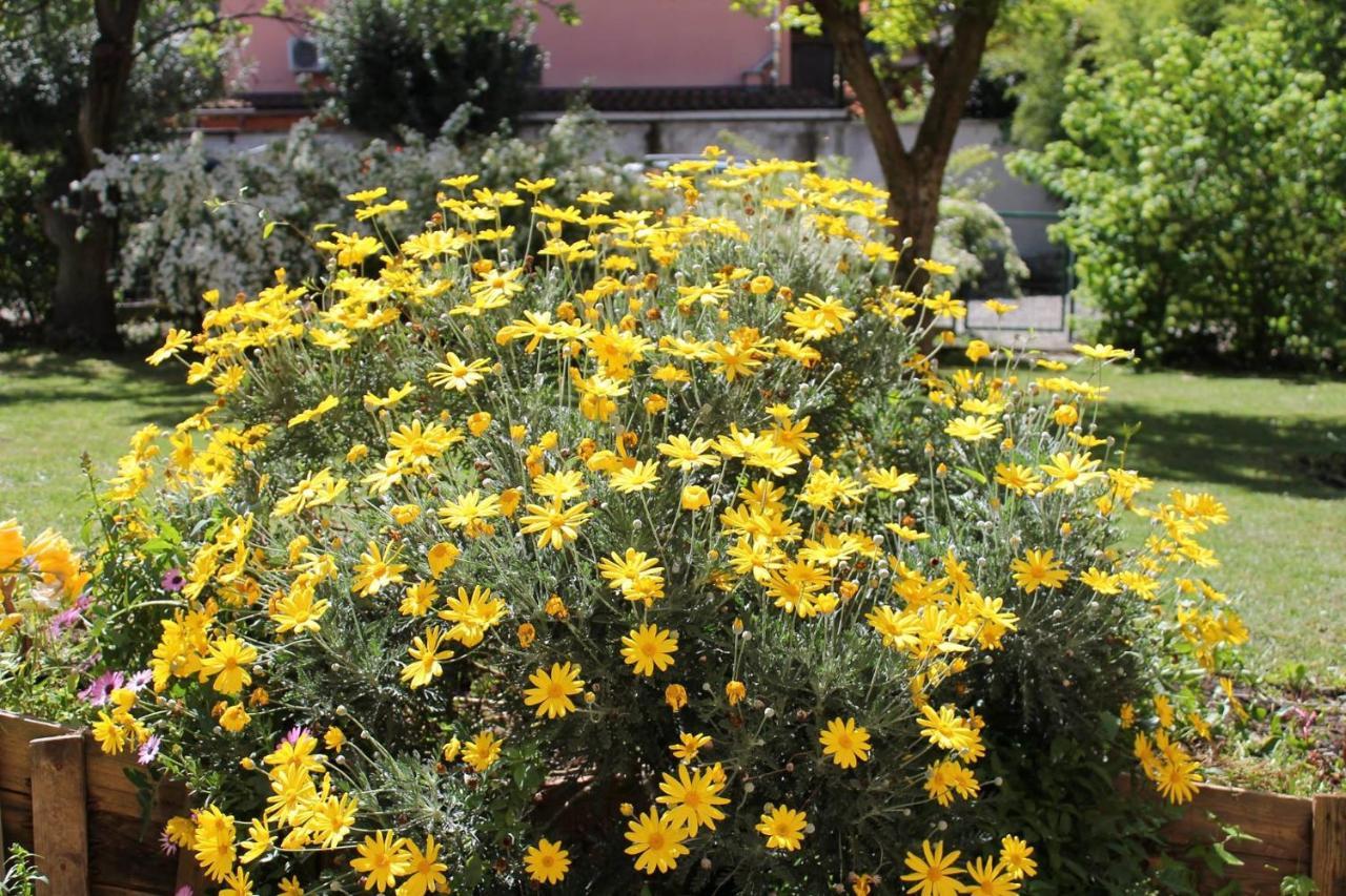 Casa Munay Guest house Bologna