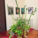 Residenza Studio Delle Arti