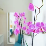 Villa Savioli Room&Breakfast