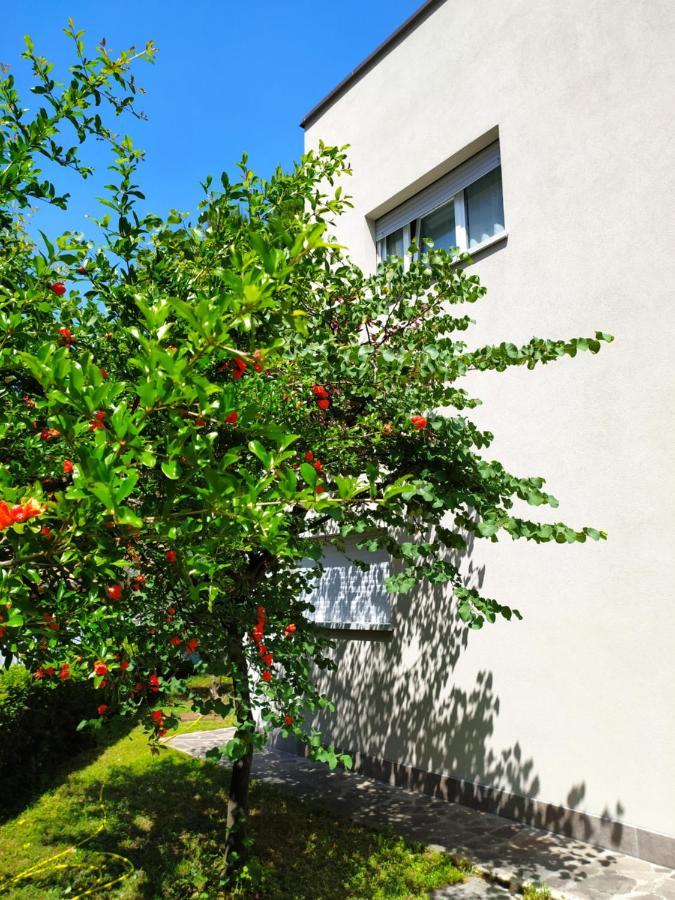 Guest house And Breakfast San Rafel Bologna