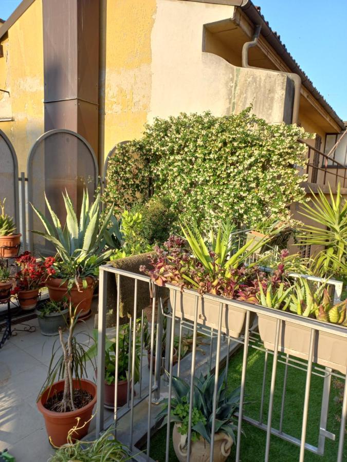 The Jasmine Terrace Retreat * Bologne