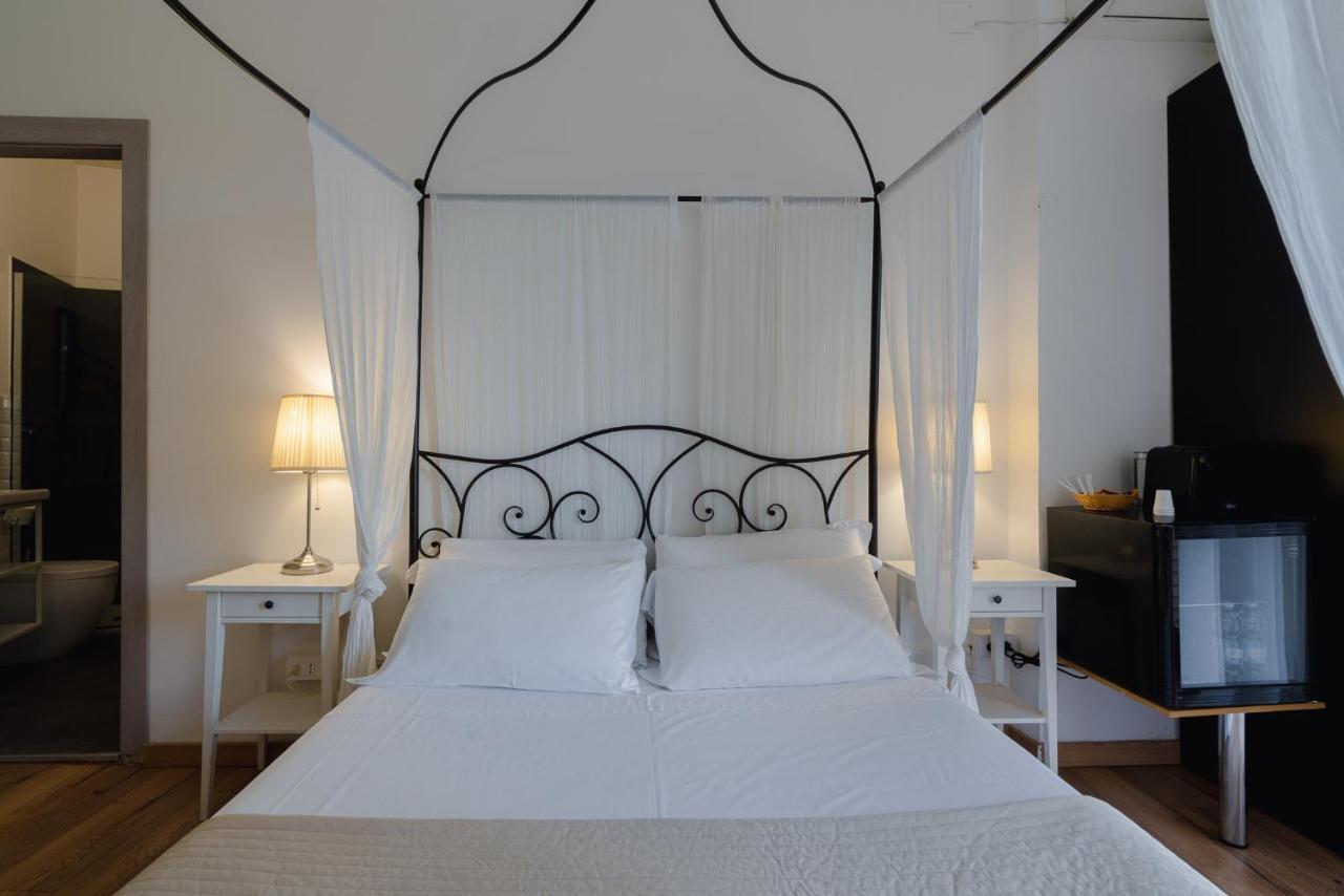 Elegance Bolonia