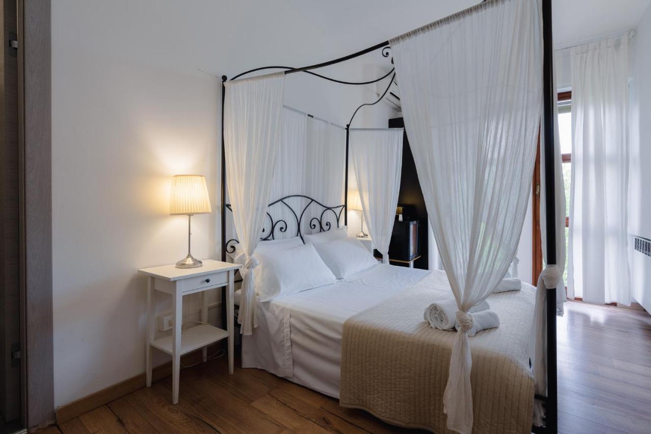 Elegance * Bolonia