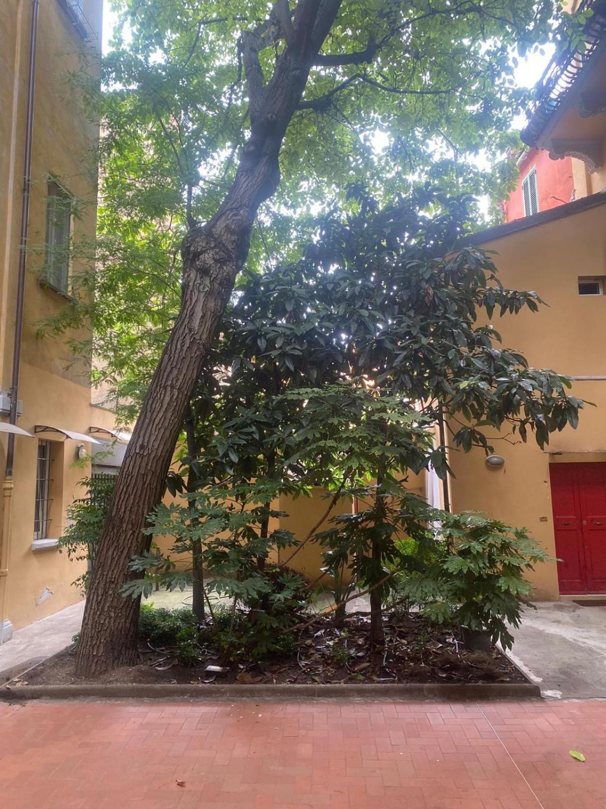 Casa Ortelia: In A Historic Building Appartement *