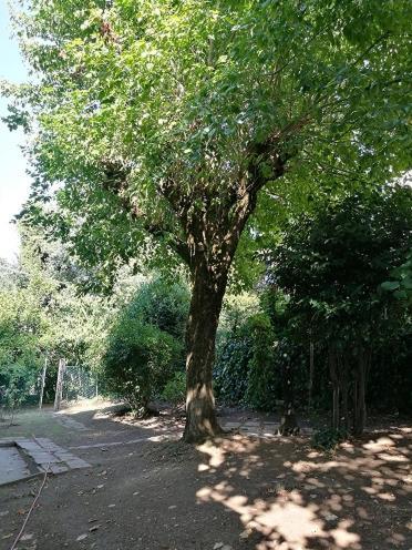 Apartamento Farolfi Vallescura Bolonia