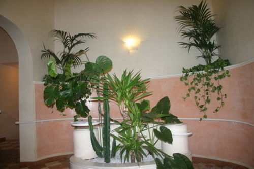 Hostel Il Castello Hostel Boutique Bologna
