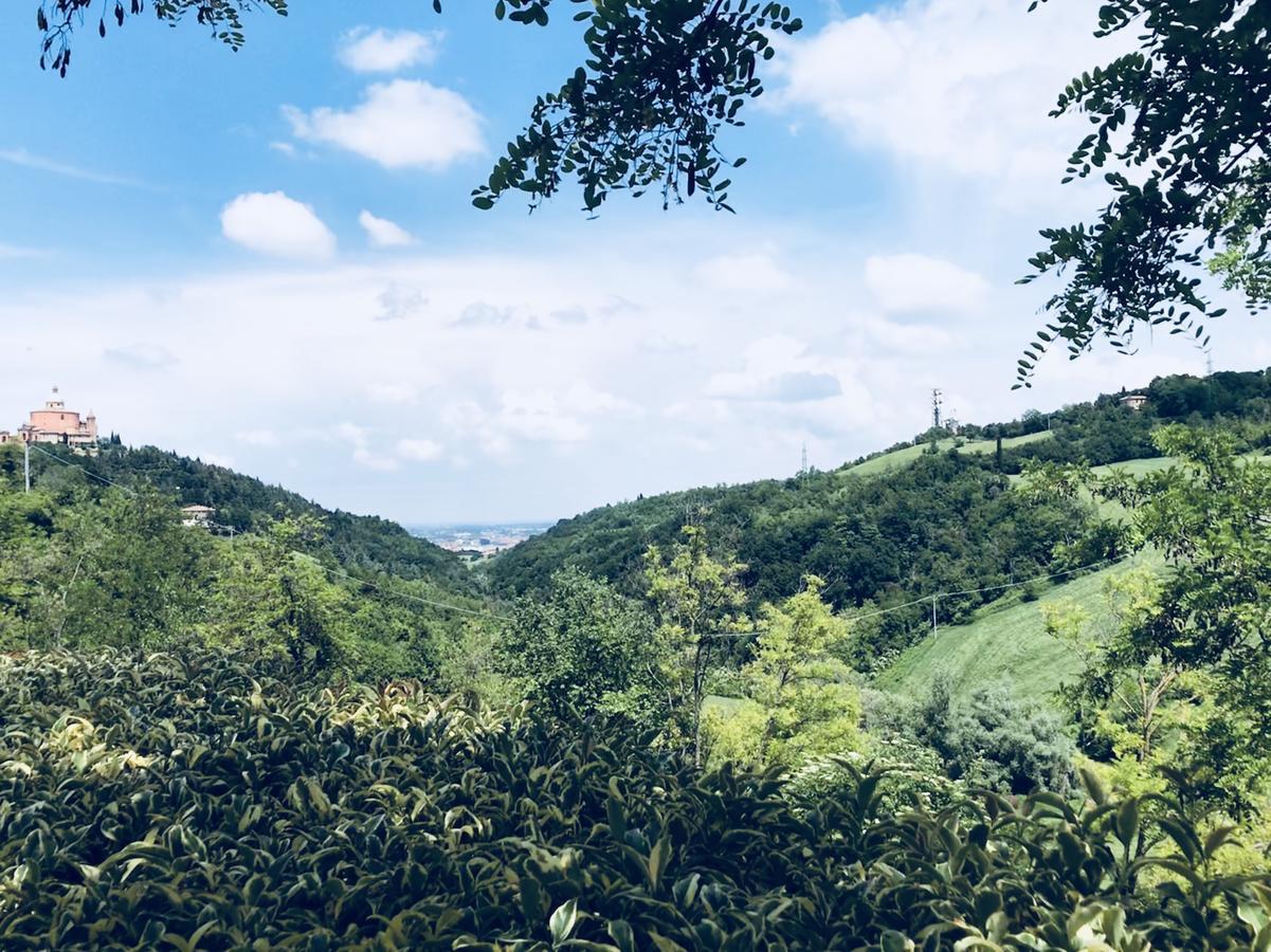 Bed & Breakfast Podere Boschetto R&b