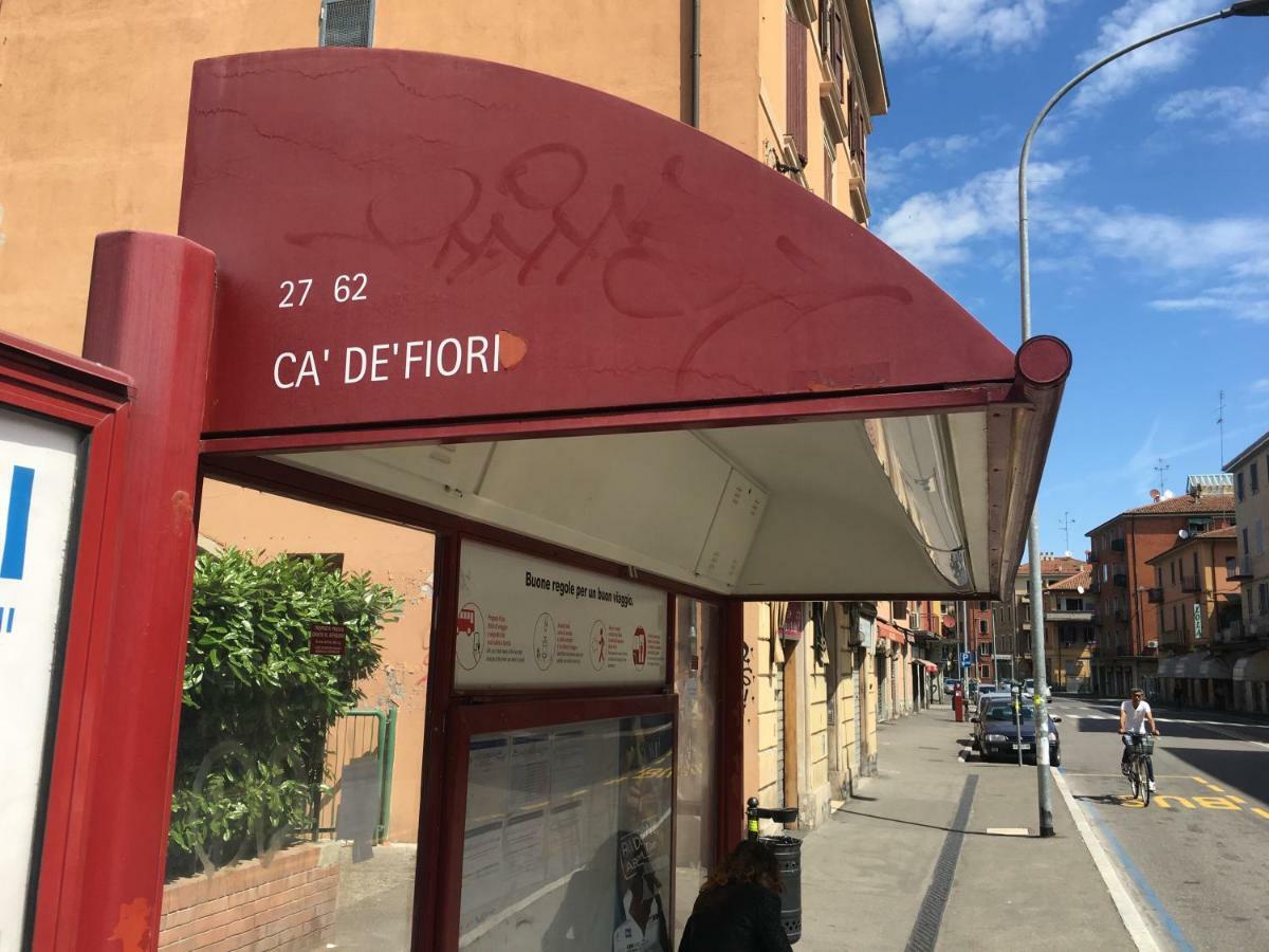 Procaccini * Bologna