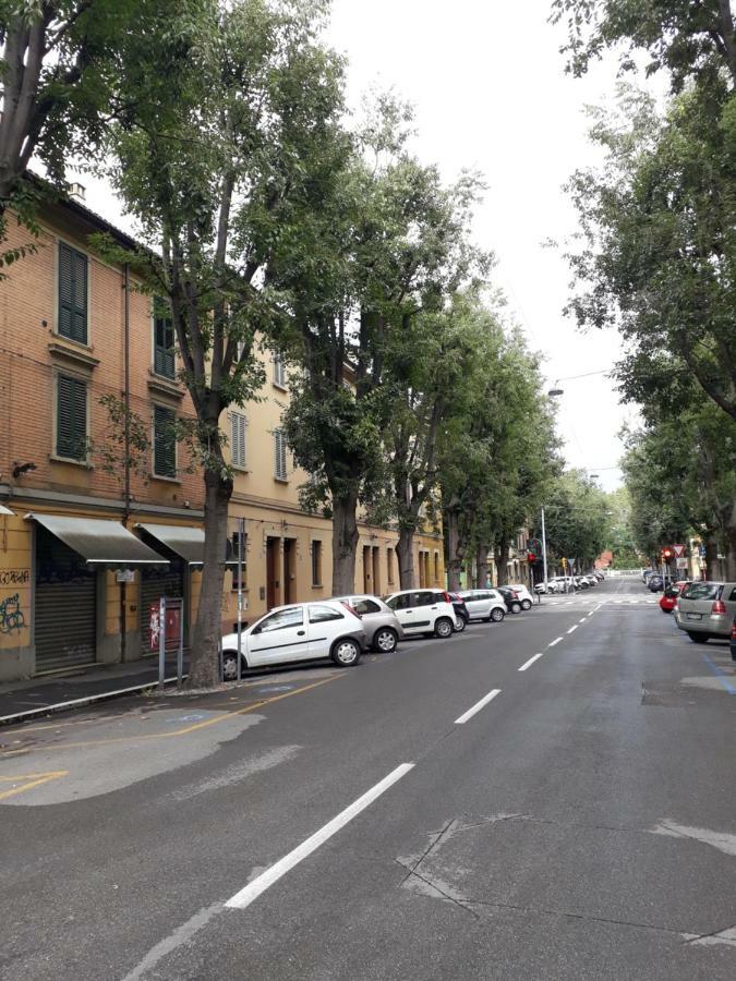 Cirenaica Bologna