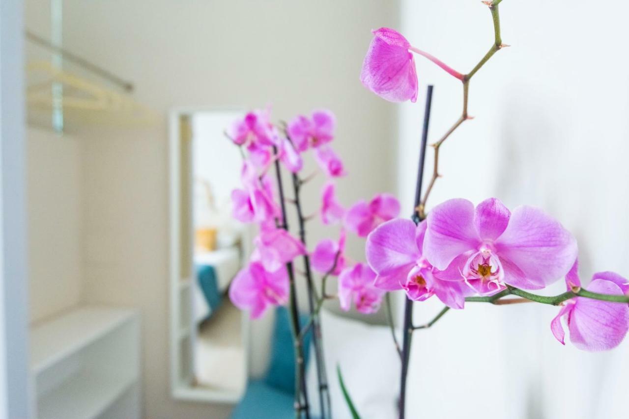 Savioli Room&breakfast Bed & Breakfast *