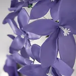 Le Stanze Dei Fiori