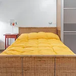 Studio Flat - Vicolo Stradellaccio