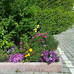 Appartamenti Borghetto San Donato 105