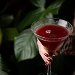 Una Hotels Bologna Fiera