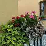 Appartamenti Borghetto San Donato 105