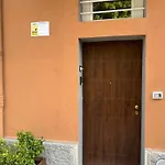 Amo