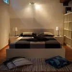 Lovely Apartment Nel Centro Storico Di Bologna