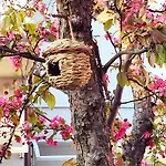 bolognaholidayhome APPARTAMENTO SIGNORINI giardino e posto auto