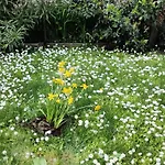 Grigio Perla Panigale, Villetta Di Pregio Con Giardino E Parcheggio Privato Gratuito Fino A Tre Posti Auto