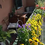 Casa Il Gelsomino