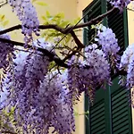 Albergo San Vitale