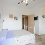 Cortesia 4