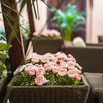 Hotel Cavour
