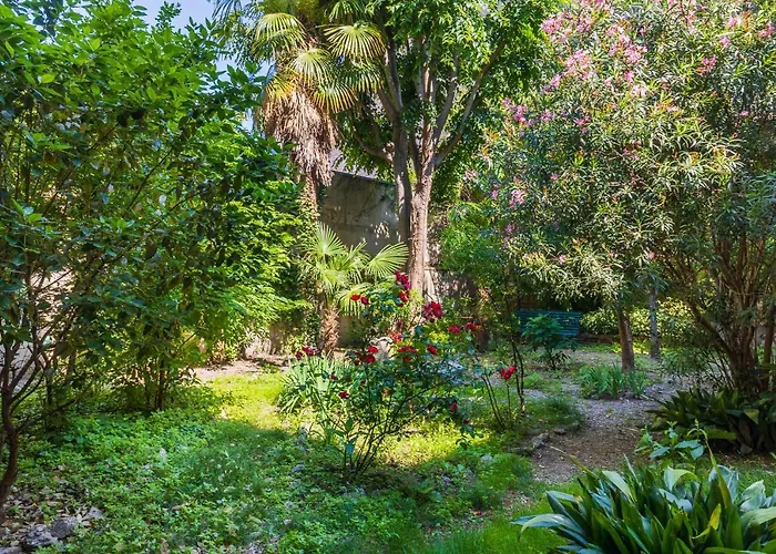 Belle Arti Gallery Garden House