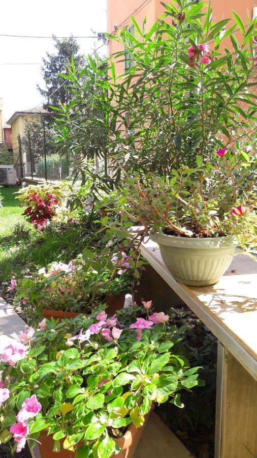 Apartamento Borghetto San Donato 105