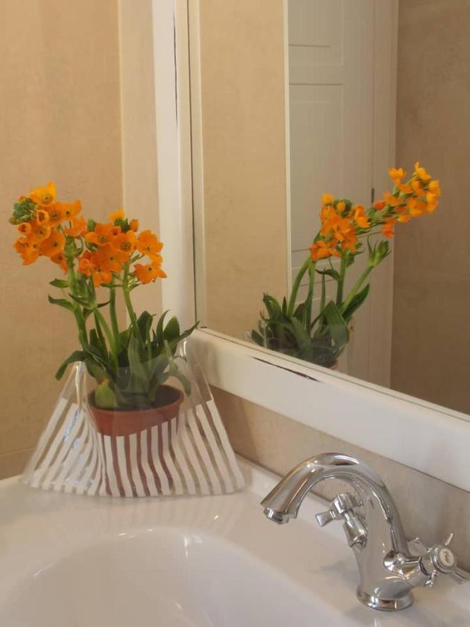 Appartamento Via D'acqua Al Mulino -city Center- Bo *