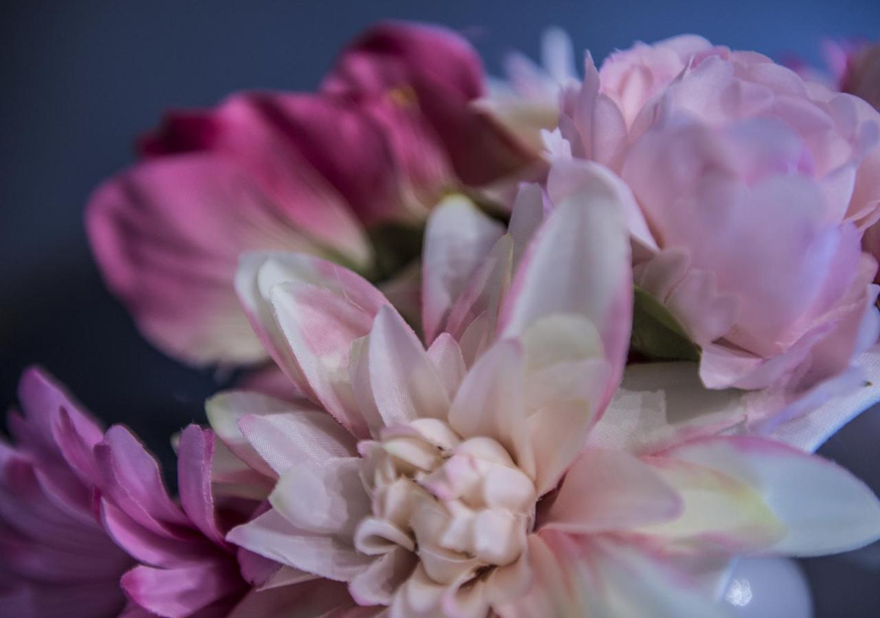Le Stanze Dei Fiori * Bologne