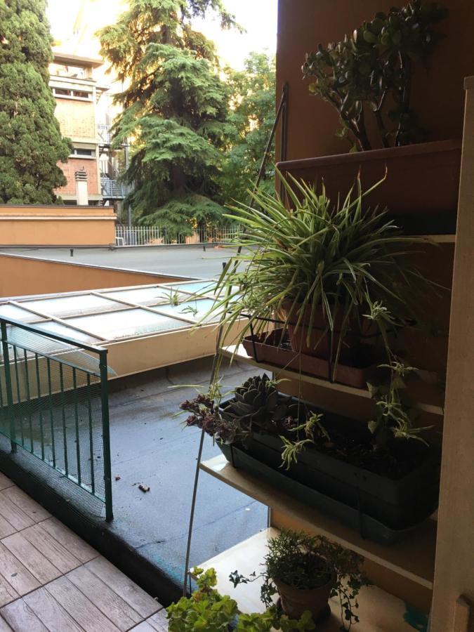 Little Secret By Wonderful Italy Vakantiehuis *