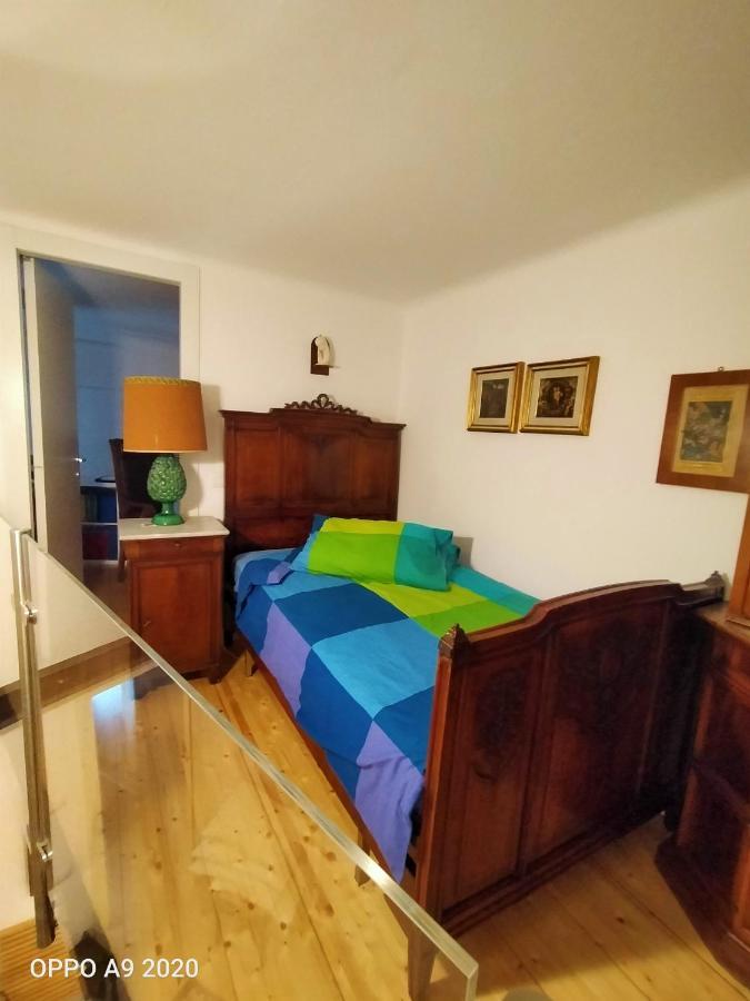 Bolognino * Bolonia