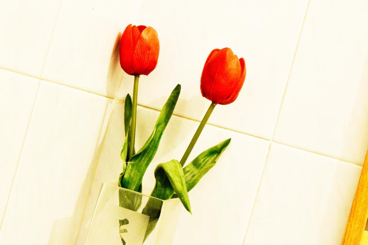 Bed & Breakfast Maggiore 58