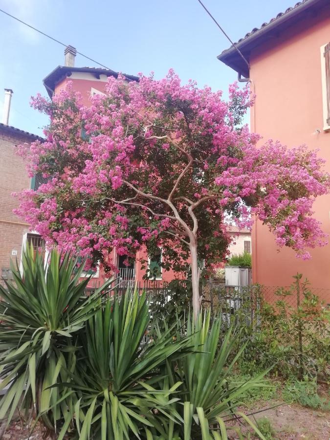 Apartment Grigio Perla Panigale, Con Giardino E Parcheggio Privato Gratuito Fino A Tre Posti Auto Bologna
