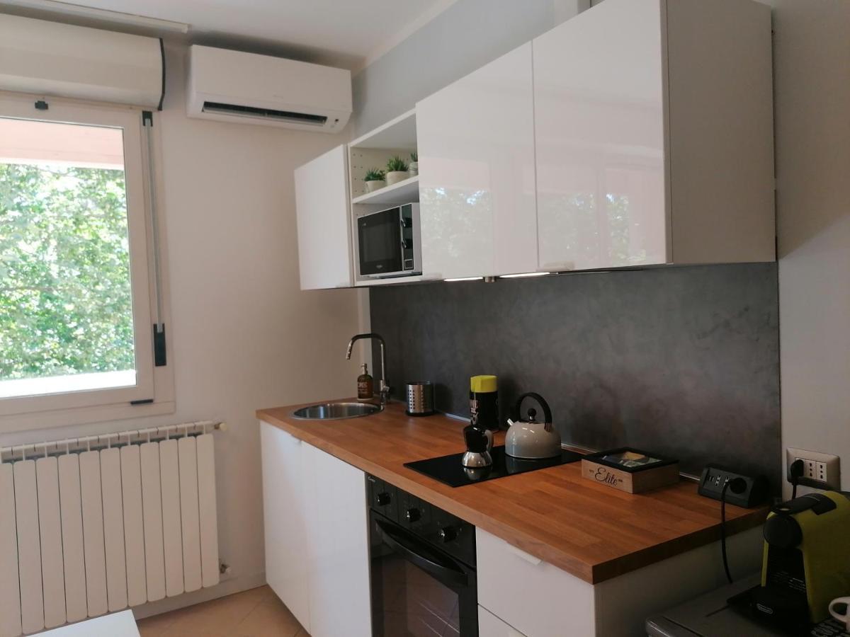 Area33 * Bolonia