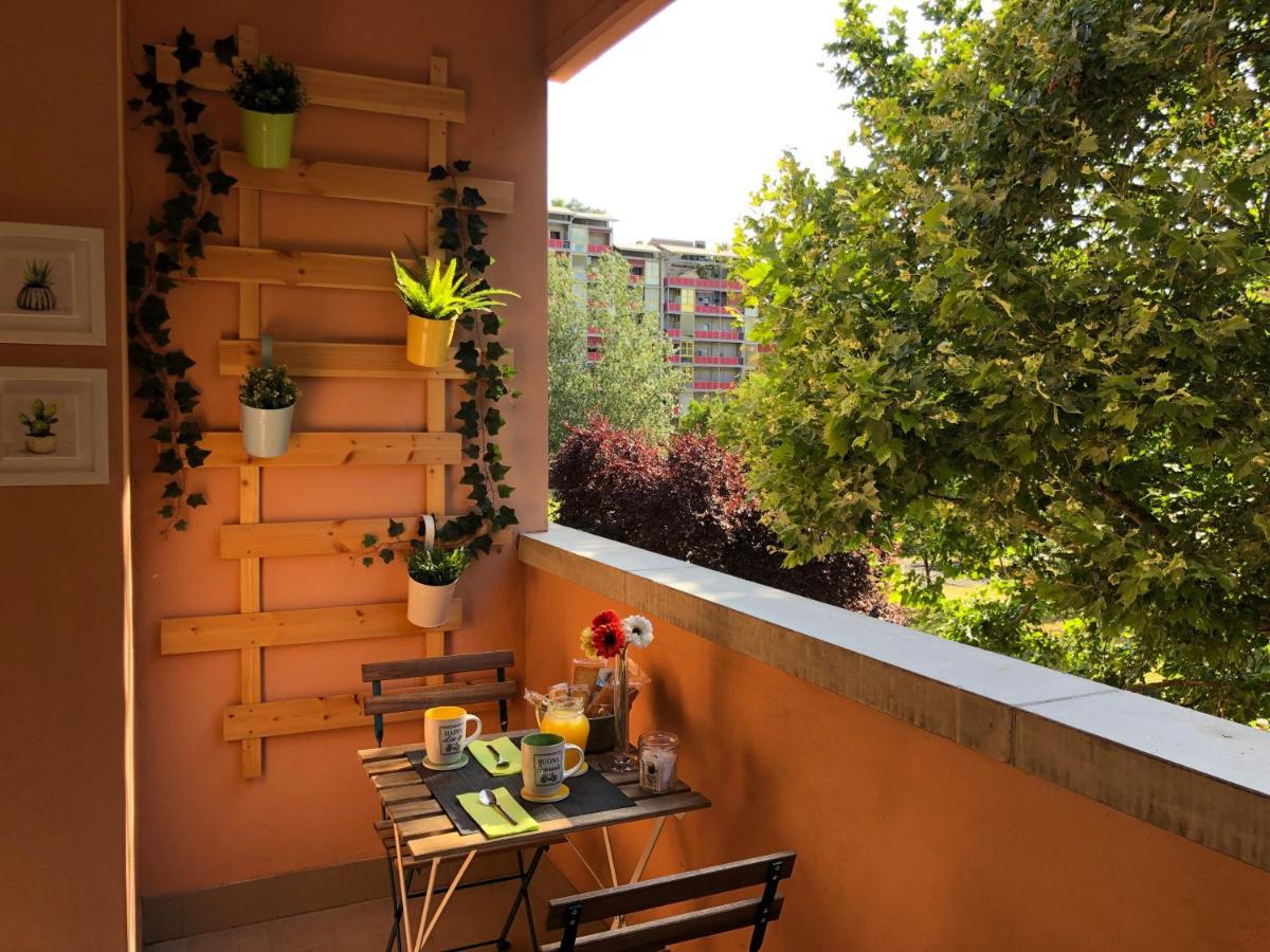 Area33 * Bolonia