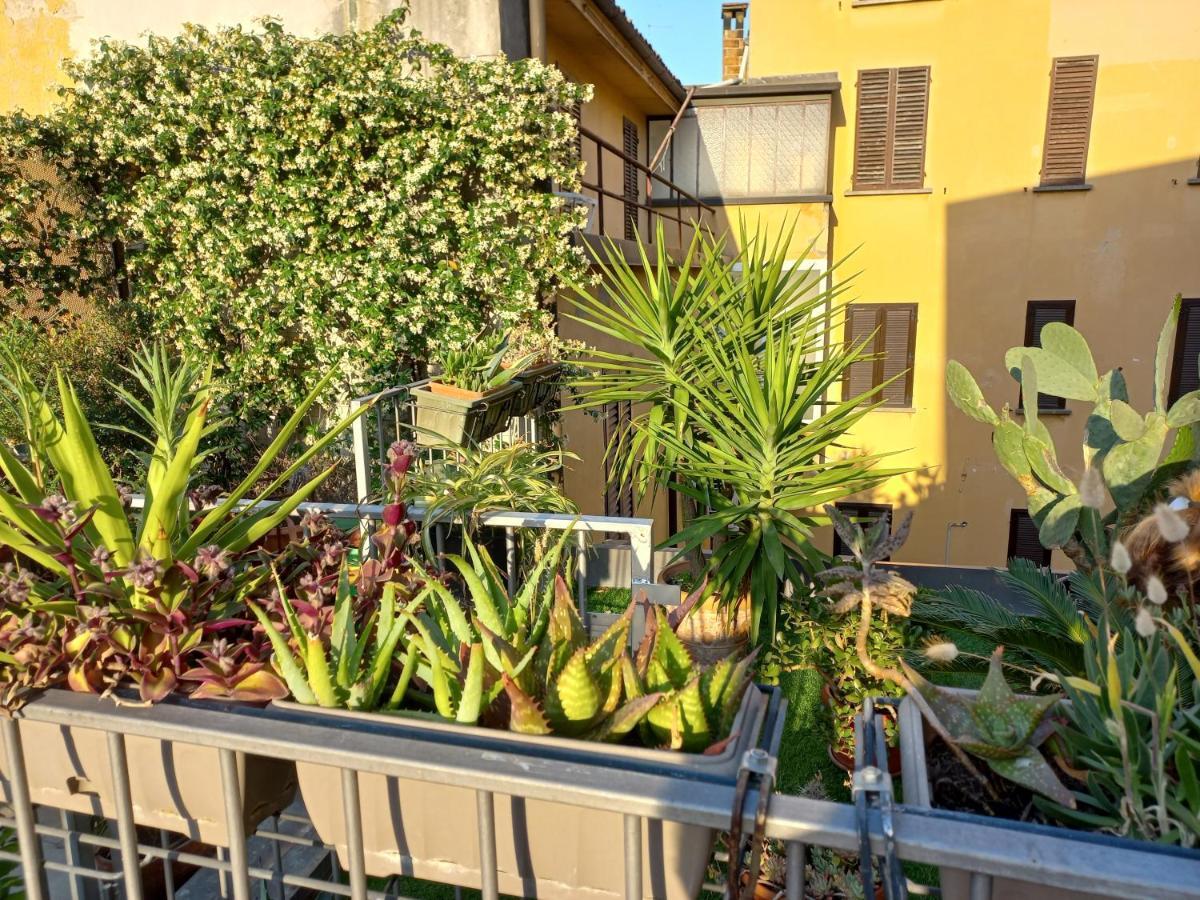 Apartamento The Jasmine Terrace Retreat *
