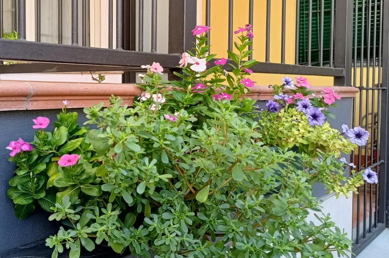 Apartamento Borghetto San Donato 105 *