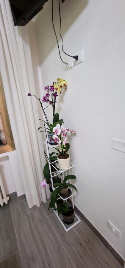 Bed and breakfast Orchidea Bolonia