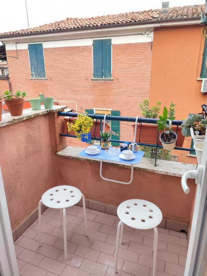 Apartamento Camonia