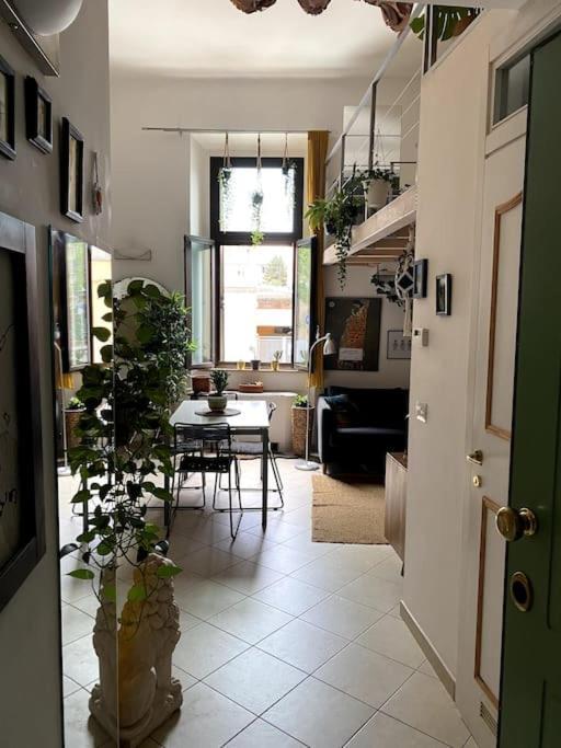 Loft Intero Stile Jungle Bologna