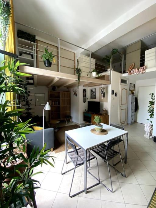 Loft Intero Stile Jungle * Bologna