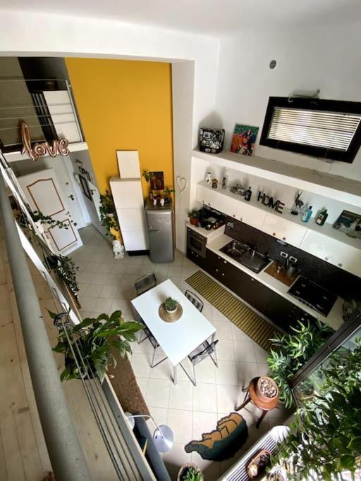 Apartamento Loft Intero Stile Jungle Bolonia