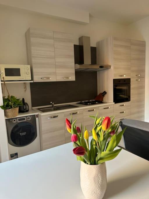 Apartment Mirsie *