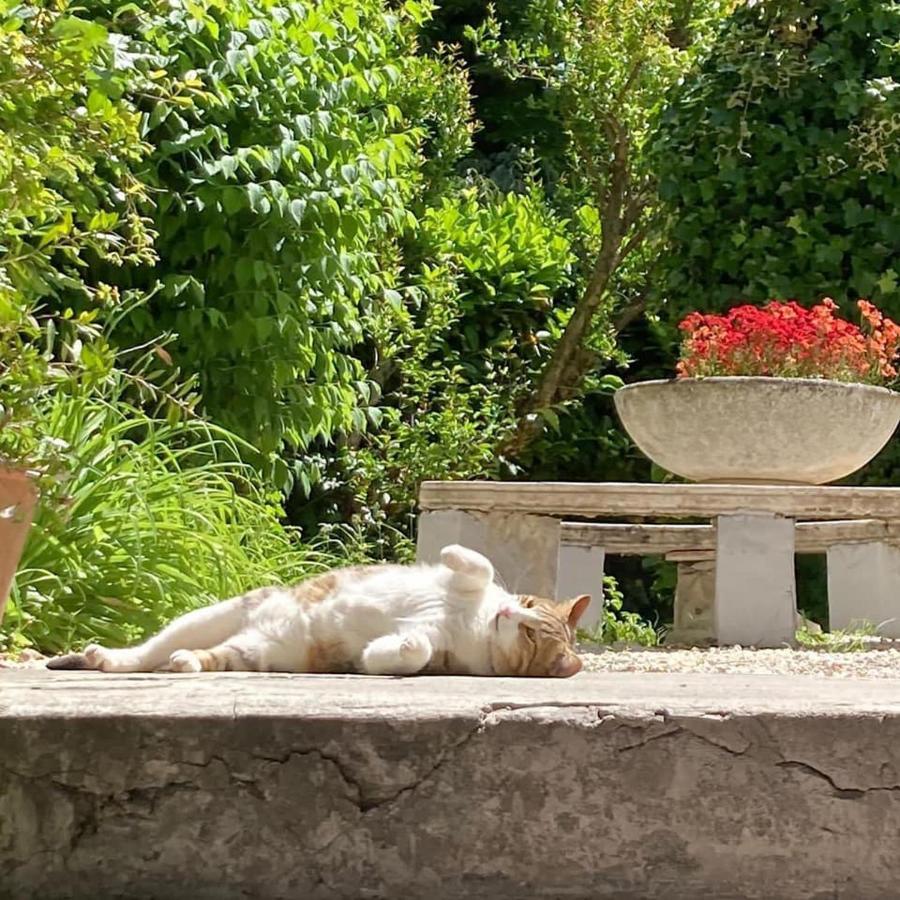 Il Giardino Nel Parco R&b Gasthof 3*