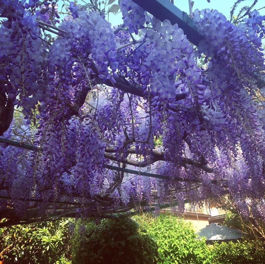 Il Giardino Nel Parco R&b 3*