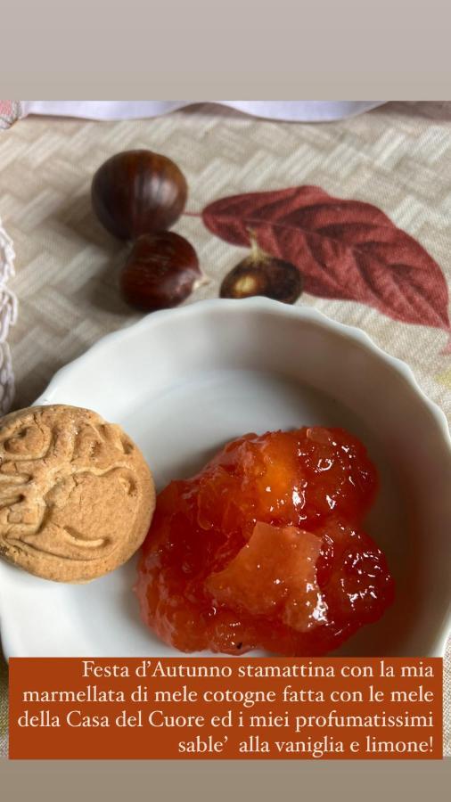 Bed and breakfast Castiglione 27 Luxury Bolonia