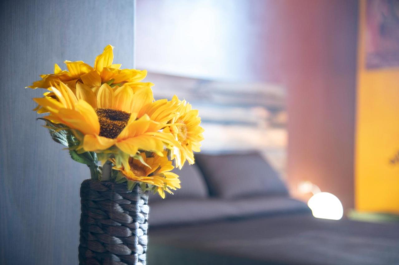 Appartement Il Fiore Di Gio *