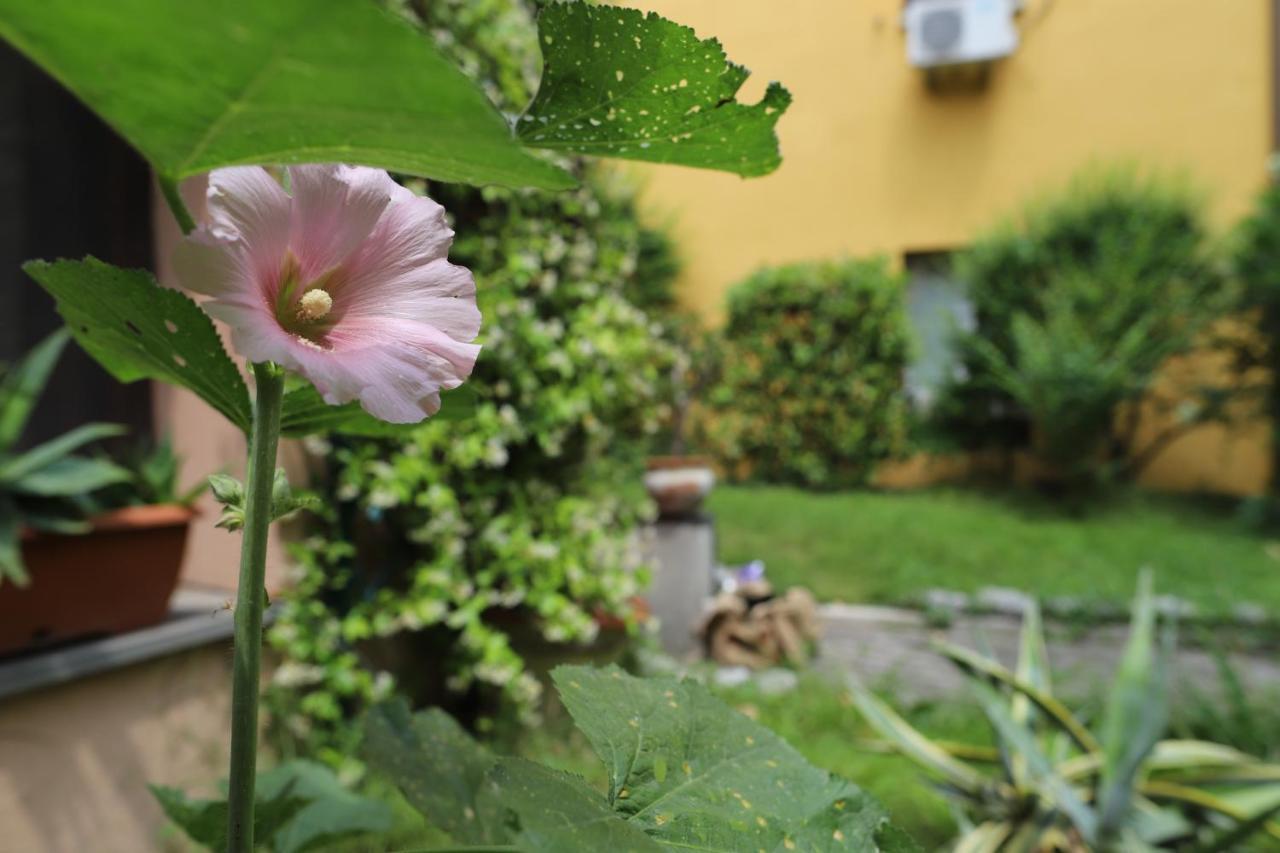 Apartamento La Corte Del Pratello